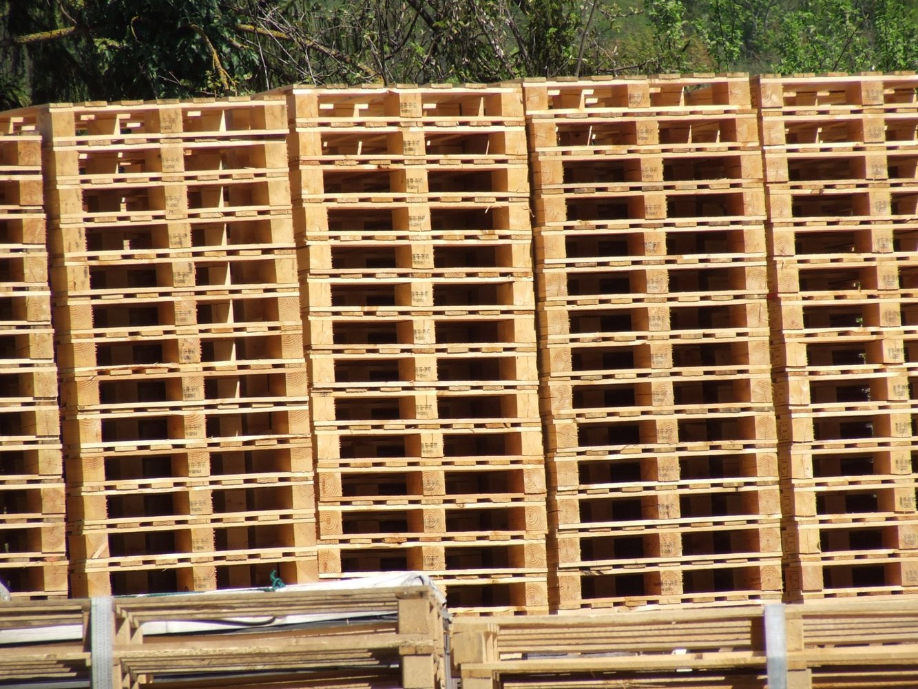 GMA pallets
